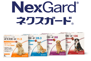 最新犬と猫の免疫学―疾患の予防・治療とそのメカニズム（傷みがあります） 最新犬と猫の免疫学―疾患の予防・治療とそのメカニズム（傷み